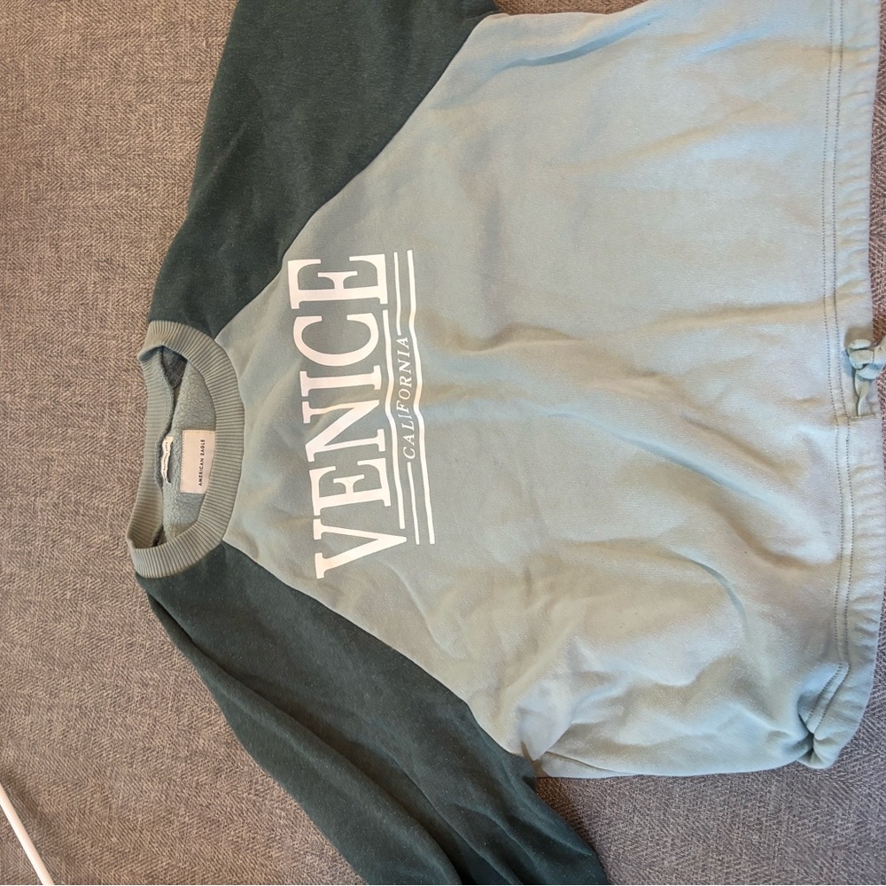 American Eagle Outfitters Green and Light Blue Sweatshirt